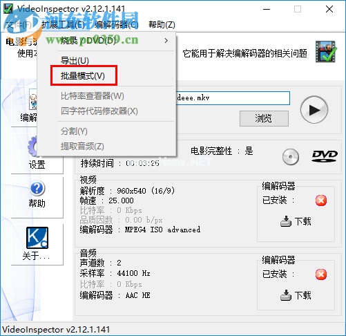 VideoInspector使用教程