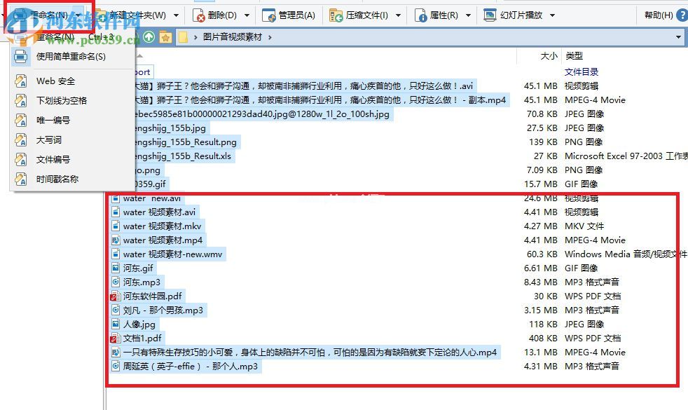 directory  opus  12批量重命名的操作教程