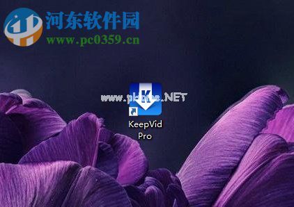 KeepVid  7下载网页音乐的方法