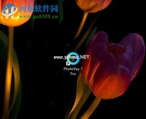 FXhome  PhotoKey给图片添加特效的方法