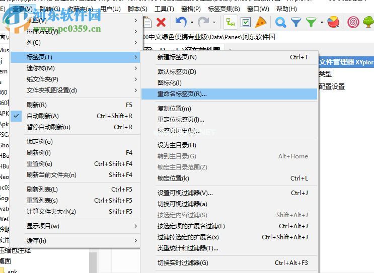 xyplorer添加标签的方法