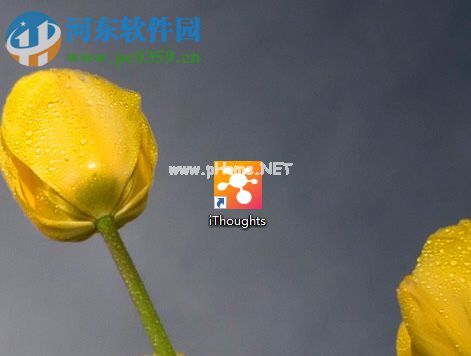 使用iThoughts  5绘制流程图的方法