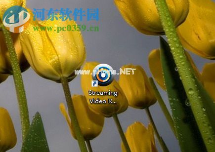 Apowersoft  Streaming  Video  Recorder下载网页视频的方法