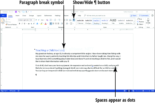 Word  2019段落标记