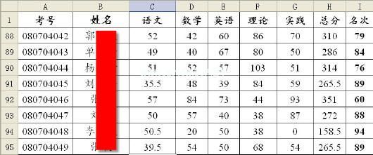 图1 WPS表格实例