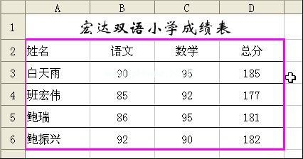 设置表格边框