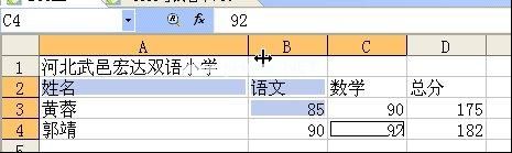 表格行高列宽的调整