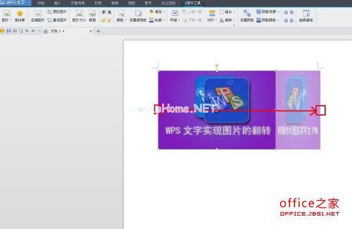 WPS技巧：WPS文字实现图片的翻转