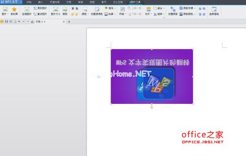 WPS技巧：WPS文字实现图片的翻转