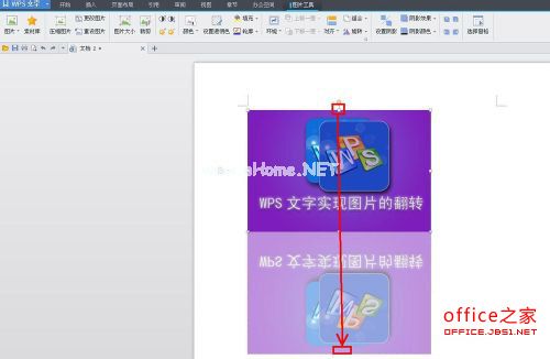 WPS技巧：WPS文字实现图片的翻转