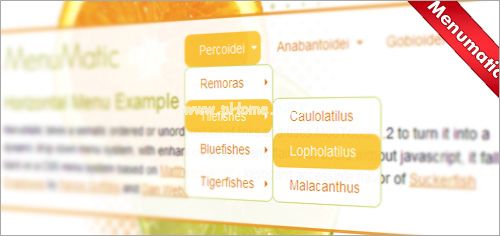 menumatic  30+ Useful  Drop  Down  Menu  Scripts  To  Enhance  Header  Navigation