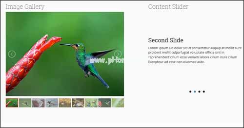 jQuery  lightSlider  Lightweight  Responsive  Free  Content  Slider