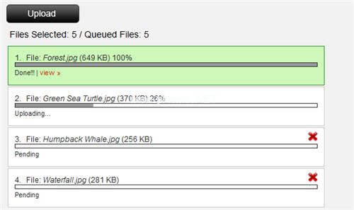 jQuery  File  Upload