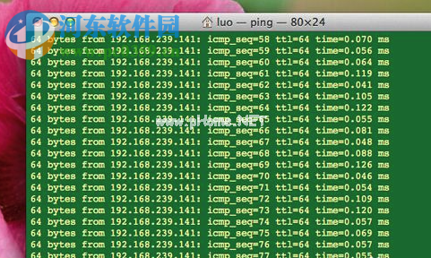 Mac电脑使用ping命令教程