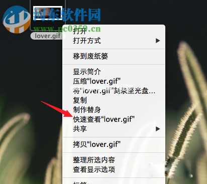 Mac系统查看gif图片教程