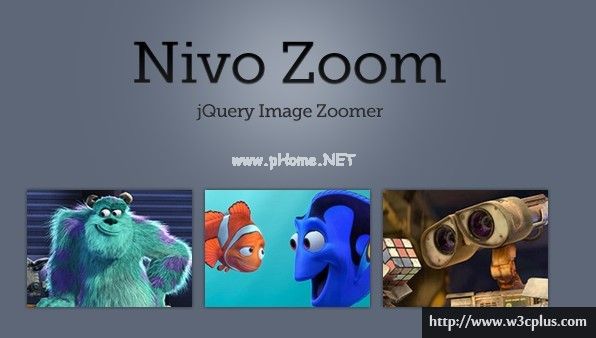 Nivo  Zoom