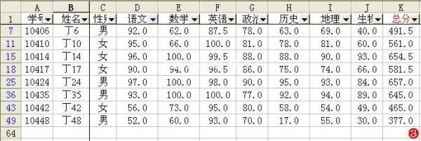 Excel筛选功能应用