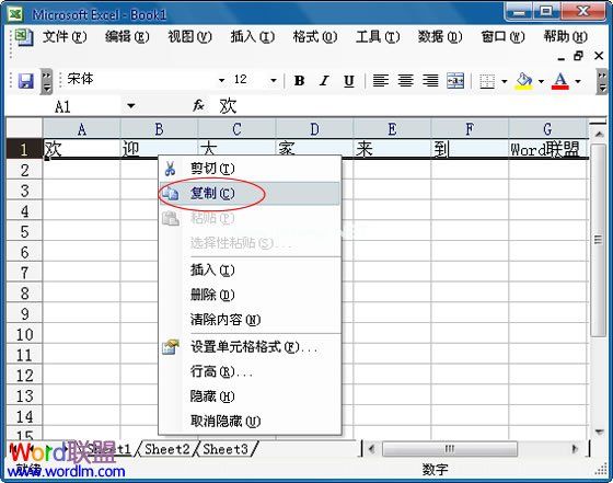 Excel2003中怎么将行中的数据复制到列中 三联