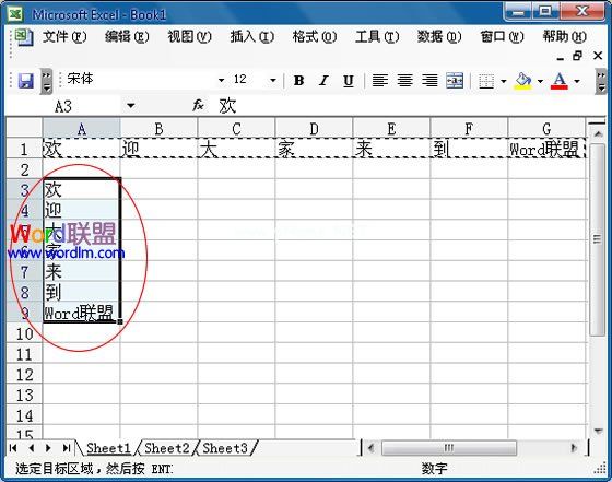 Excel2003中怎么将行中的数据复制到列中