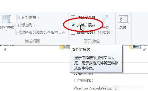 Win10系统下如何显示文件后缀名的方法教程