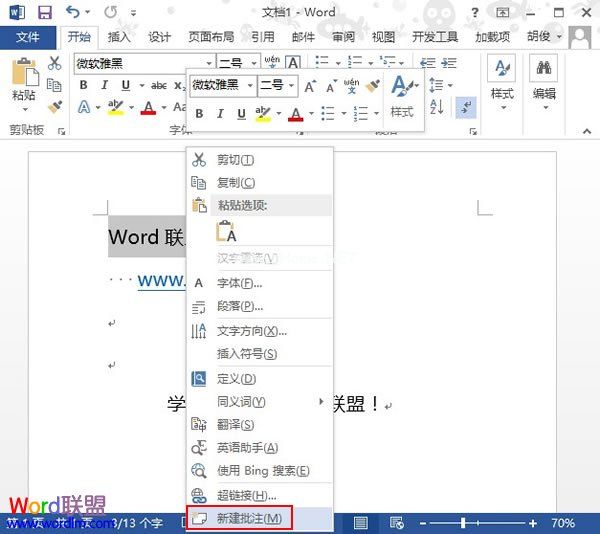 Word2013中如何插入批注并显示出来？ 三联