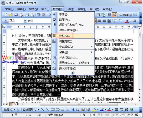 Word2003将文档进行分栏查看 三联