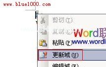 这里介绍使用word域功能来动态显示字数统计