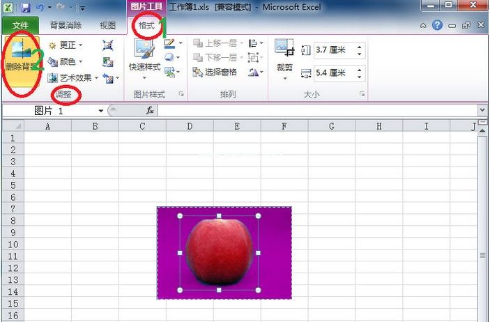 Excel2010技巧：轻松去除图片的背景