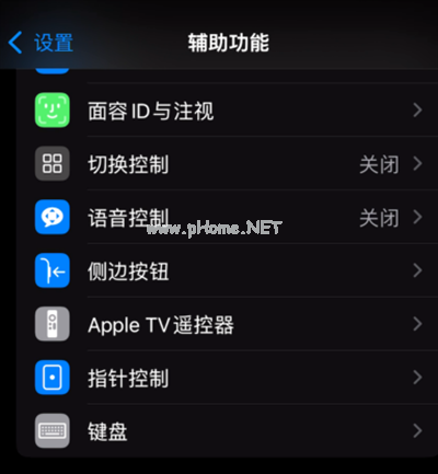 iOS自动调音怎么设置