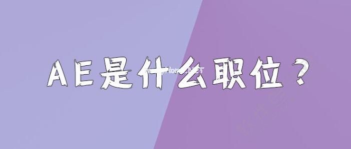 ae职位是什么，包括那些职责。_