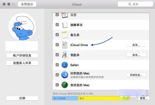  1、当在 iOS8 中打开 iCloud  以后