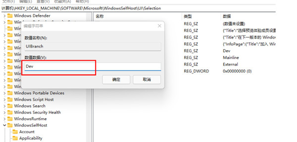 win11计划通道release  preview怎么更改为Dev