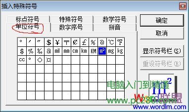 插入特殊符号