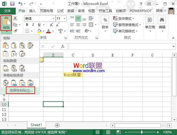 Excel2013单元格复制时让格式不变的两种方法