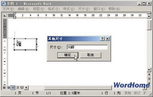  小提示：如果用户在Word2003的对象类型列表中无法找到Microsoft公式 3.0选项