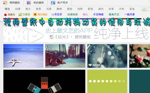 搜狗壁纸中自动转换功能的使用与取消