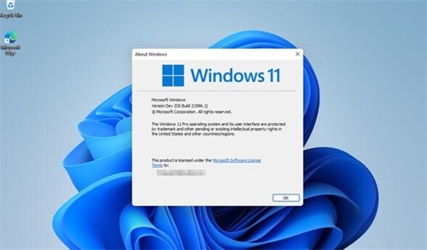 win11怎么升级