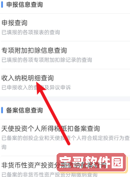 个人所得税app如何查询年收入纳税明细