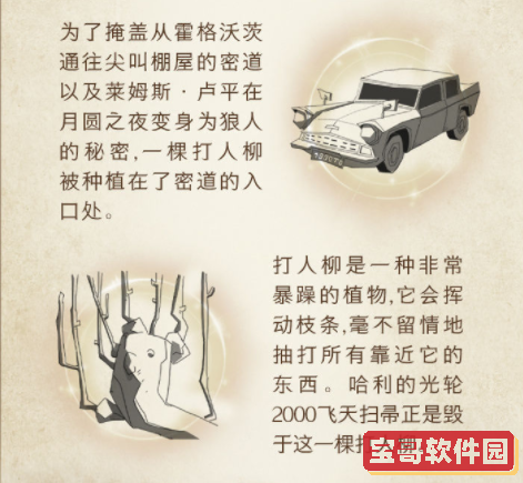 打人柳卡牌故事.png