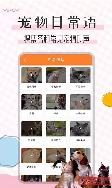 猫语翻译宝下载安卓版