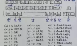 如何在电脑键盘上正确输入平方米符号的方法指南