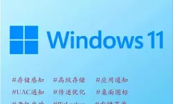 如何将Windows 11专业版转换为家庭版的详细步骤解析