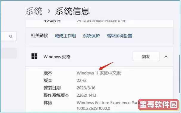 如何查看Windows 10系统版本信息的方法解析图2