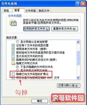 如何将docx文件高效转换为txt文件的详细步骤与方法图1