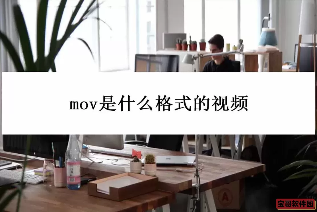 mov是视频格式吗图2