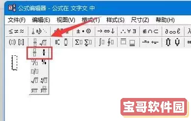 word2007怎么编辑分数图2