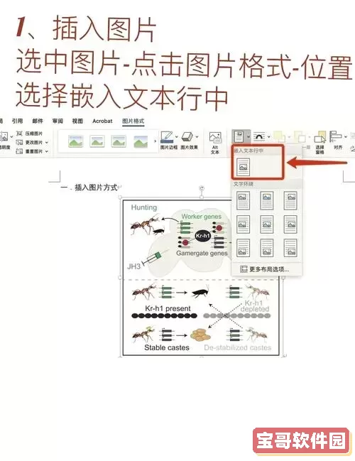 html中如何调整图片的位置，html怎样调整图片位置图2