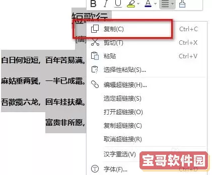 word文档中如何复制整页图1