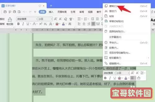 word文档中如何复制整页图2