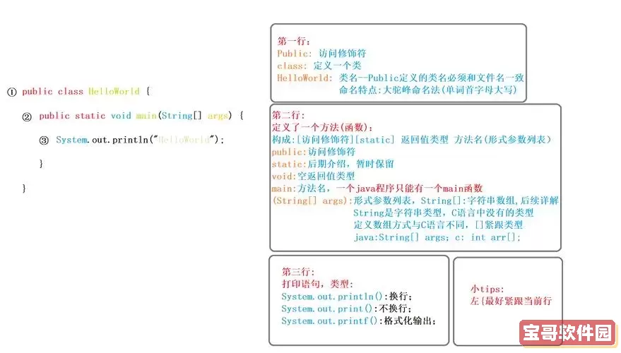 JavaScript与C语言的主要区别分析及两者难度比较图1